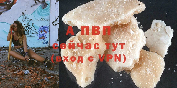 СК Арсеньев