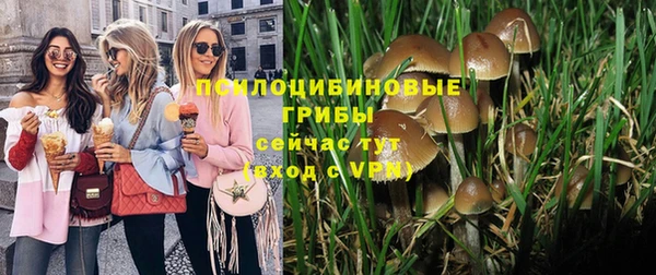 СК Арсеньев