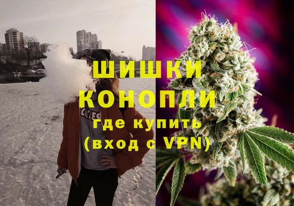 СК Арсеньев