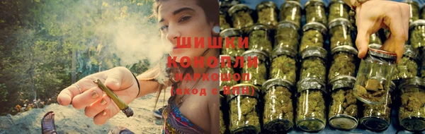 СК Арсеньев
