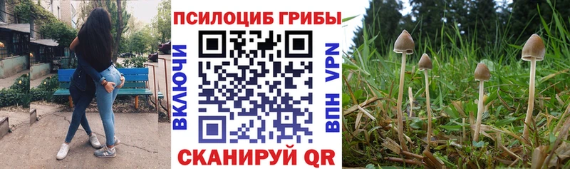 даркнет какой сайт  Видное  Галлюциногенные грибы Psilocybine cubensis  ссылка на мегу ТОР 